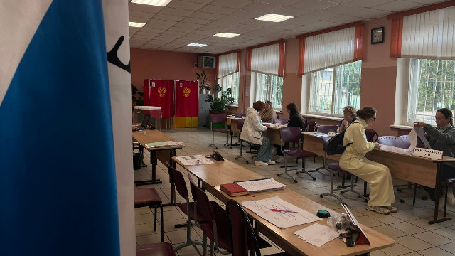 Выборы