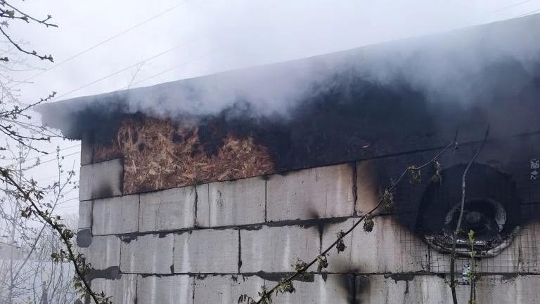 В Нижнем Новгороде при пожаре в надворной постройке погибли около 200 собак