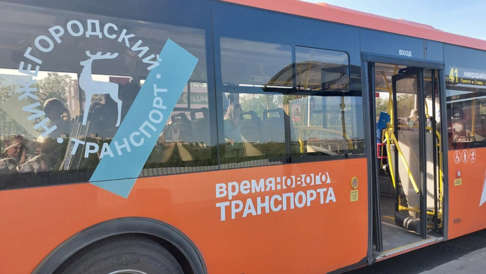 Автобусы