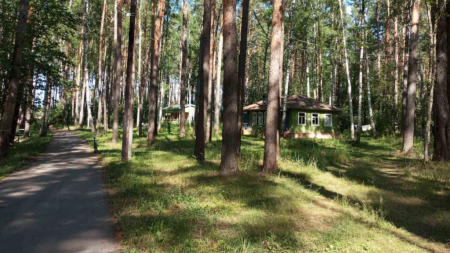 «Солнечная поляна» в Дальнеконстантиновском районе